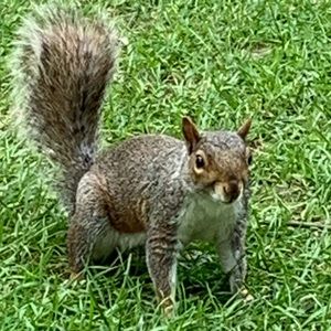 Meet your Posher, Reece